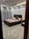 Sushant Lok Phase 3, Sector 57 Bedroom 1