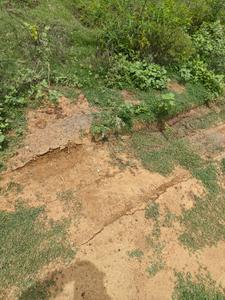 Image of 2400 Sq.ft Residential Plot / Land for sale in Mukkampatti, Madurai for Rs. 3000000