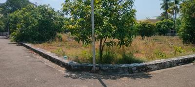 Ollur Plot View 3