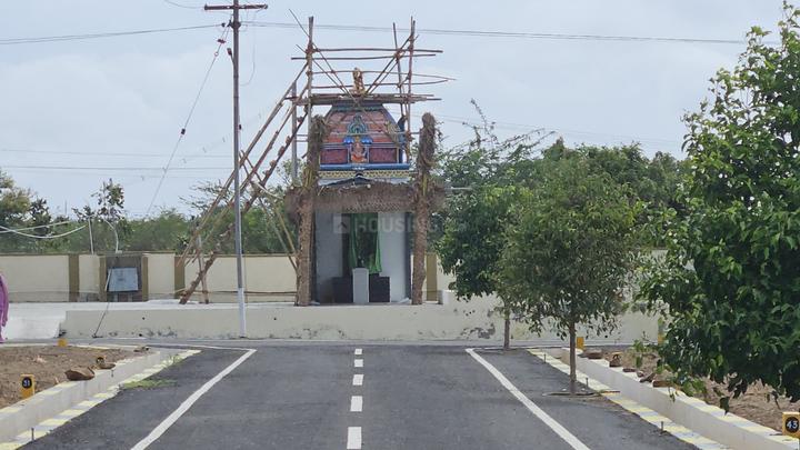 LOTUS DREAMS PAPAMPATTI Main Image 1