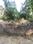 1 KANAL PLOT Main Image 1