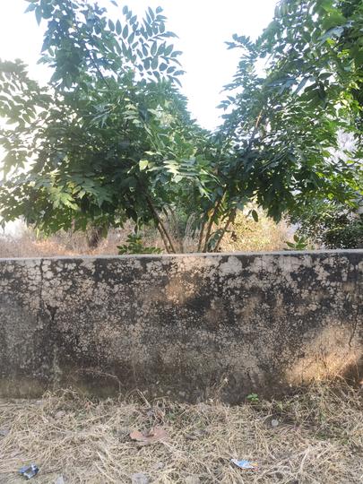 1 KANAL PLOT Main Image 1