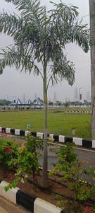 Image of 800 Sq.ft Residential Plot / Land for sale in Alamathi, Chennai for Rs. 1840000