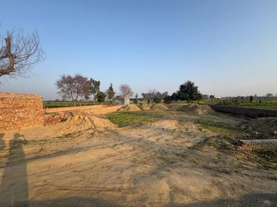 Forest Research Institute Plot View 2