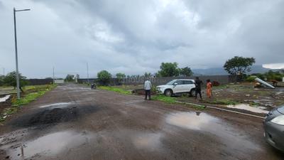 valora vibes Plot View 2