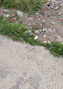 Image of 1000 Sq.ft Residential Plot / Land for sale in Ajabpur Khurd, Dehradun for Rs. 7215000