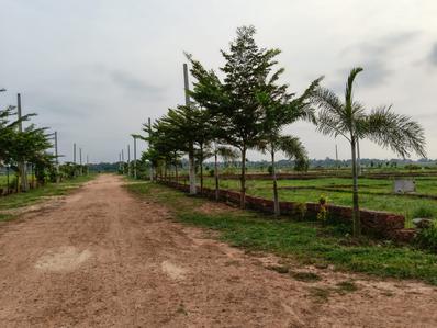 Image of 1741 Sq.ft Residential Plot / Land for sale in Krishna Vatika, Phulnakhara, Cuttack, Phulnakhara, Cuttack for Rs. 2100000