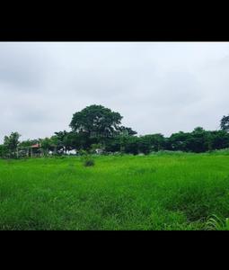KPS Farmville Plot View 2