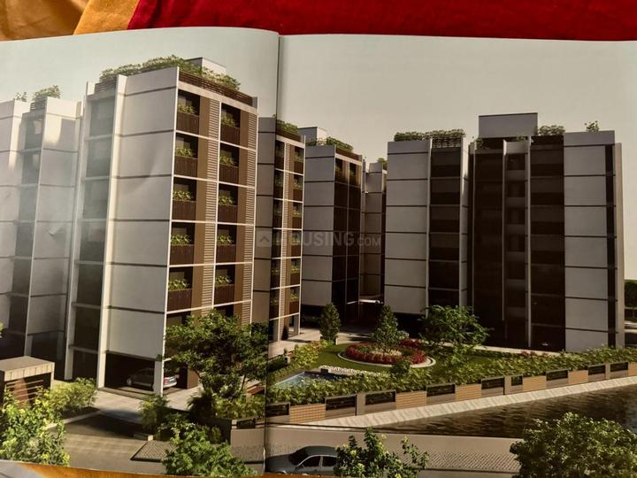 AG8 Aster Royal Main Image 1