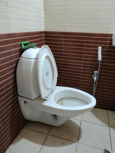 Common Bathroom Image of 1050 Sq.ft 2 BHK Apartment / Flat for sale in Dream Meadows, Kharghar Navi Mumbai for Rs. 8000000