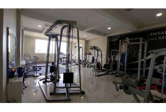 JD Green Paradise Main Image 1