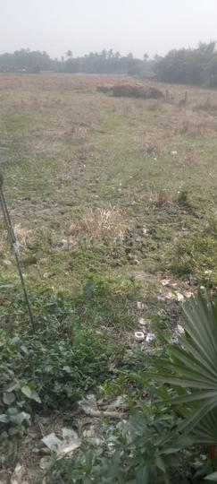 Bantala Main Image 1