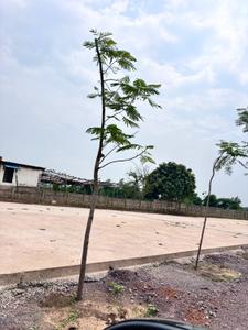 Image of 1250 Sq.ft Residential Plot / Land for sale in Old Dhamtari Road, Raipur for Rs. 3125000