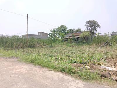 Nabapally 22 Bigha Plot View 3