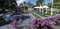 Dongarpur Plot View 2