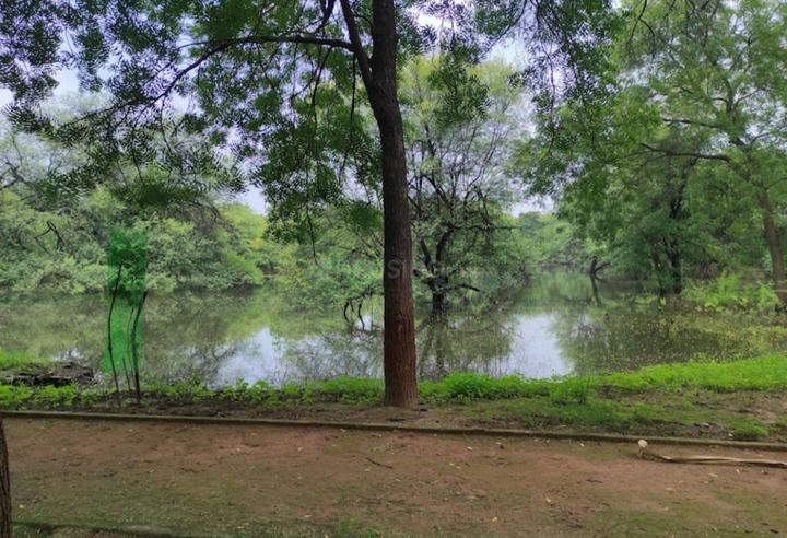 suramya 2 rancharda Main Image 1