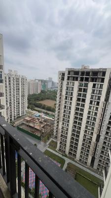 Image of 900 Sq.ft 2 BHK Apartment / Flat for rent in Sikka Karnam Greens, Sector 143B, Noida for Rs. 26000