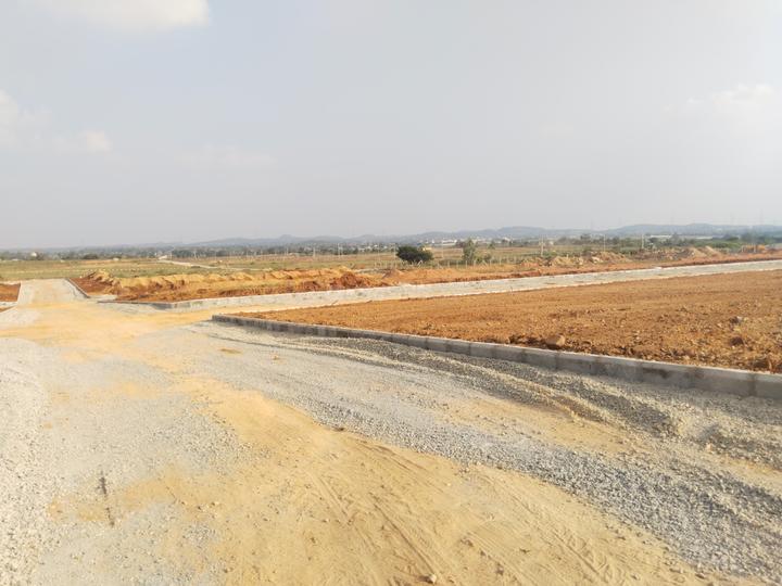 Fortune Professionals Paradise 8 LP Main Image 1