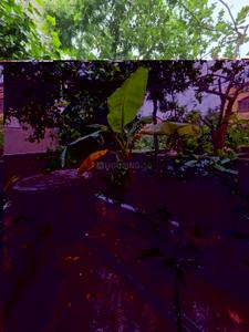 Image of 2400 Sq.ft 5 BHK Independent House for sale in Shibpur, Howrah for Rs. 8500000