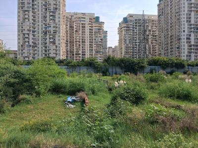 Image of 900 Sq.ft Residential Plot / Land for sale in Sector 76, Noida for Rs. 17500000