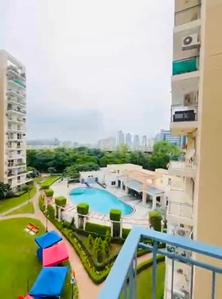 4 BHK Flat