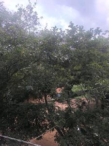 Bedroom Three Image of 3150 Sq.ft 5 BHK Apartment / Flat for sale in Konanakunte Bengaluru for Rs. 29000050