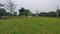LOHITHA Main Image 1