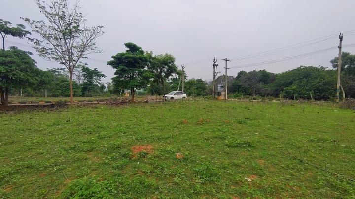LOHITHA Main Image 1