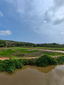 Image of 1250 Sq.ft 2 BHK Apartment / Flat for sale in Anjuna, Goa for Rs. 20000000