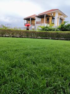 Image of 2727 Sq.ft 1 BHK Farm House for sale in Olpad, Surat for Rs. 3800000