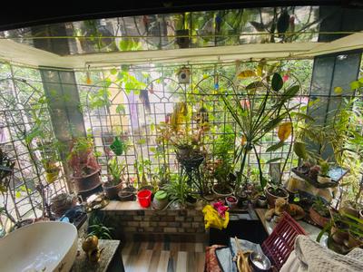 Balcony Image of 682 Sq.ft 2 BHK Apartment / Flat for sale in Jadavpur Kolkata for Rs. 5800000