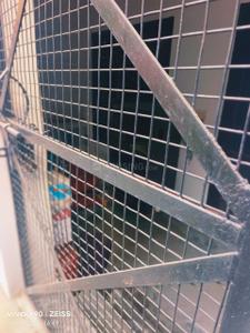 Balcony Image of 6840 Sq.ft 4 BHK Villa for sale in Shanti Vihar Bareilly for Rs. 20000000