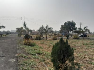 Besa Pipla Plot View 1