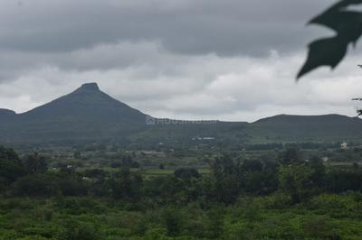 Image of 10780 Sq.ft Residential Plot / Land for sale in Dugaon, Nashik for Rs. 5551000