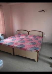 Bedroom Image of 1500 Sq.ft 1 BHK Builder Floor for rent in Sector-02 Bahadurgarh for Rs. 12000