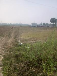 Image of 9520 Sq.ft Residential Plot / Land for sale in Bodh Gaya, Gaya for Rs. 3700000