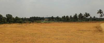 Image of 1200 Sq.ft Residential Plot / Land for sale in Gadenahalli, Bengaluru for Rs. 9800000