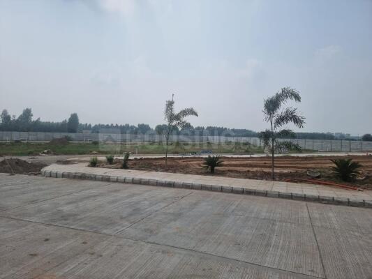 Soha Olive Town Main Image 1