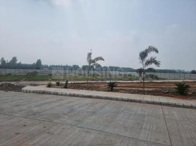 Soha Olive Town Main Image 1