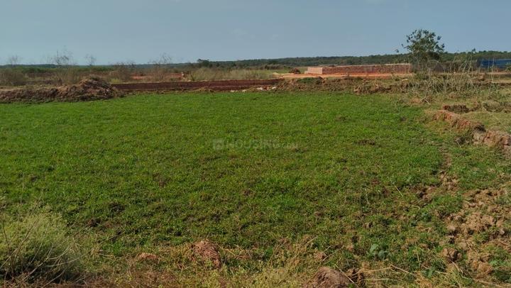 Raghunathpur Main Image 1