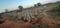 Khanapuram Haveli Plot View 2
