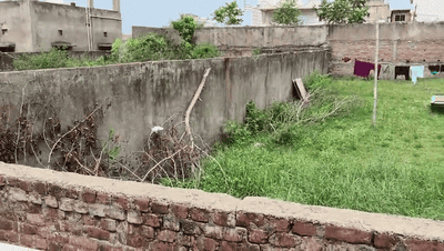 Image of 435 Sq.ft Residential Plot / Land for sale in Namkum, Ranchi for Rs. 1250000