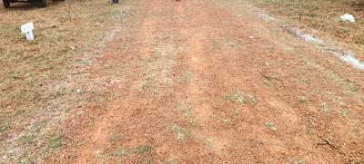 Lankela Palem Plot View 1