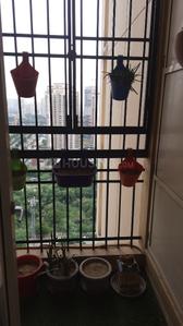 Image of 1140 Sq.ft 2 BHK Apartment / Flat for sale in Ajnara Le Garden, Noida Extension, Greater Noida for Rs. 7920000