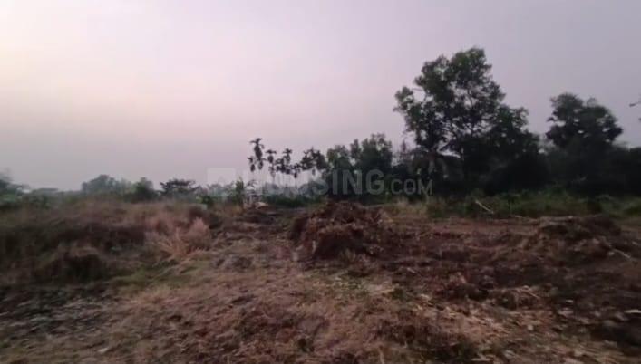 Natunpara, Baruipur Main Image 1