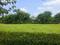 Orris Woodview Residencies Main Image 1