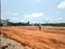 New Market Plot View 2