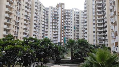 Image of 1150 Sq.ft 2 BHK Apartment / Flat for sale in Terra Elegance, Sector 33, Bhiwadi for Rs. 4200000