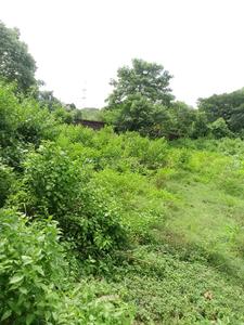 Image of 87686 Sq.ft Residential Plot / Land for sale in Uttara, Bhubaneswar for Rs. 170000000