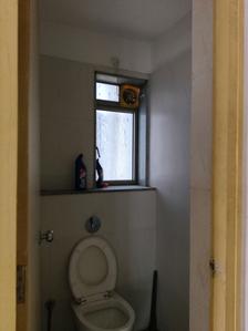 Common Bathroom Image of 585 Sq.ft 1 BHK Apartment / Flat for rent in Lodha Casa Rio, Palava Phase 1 Thane for Rs. 13000